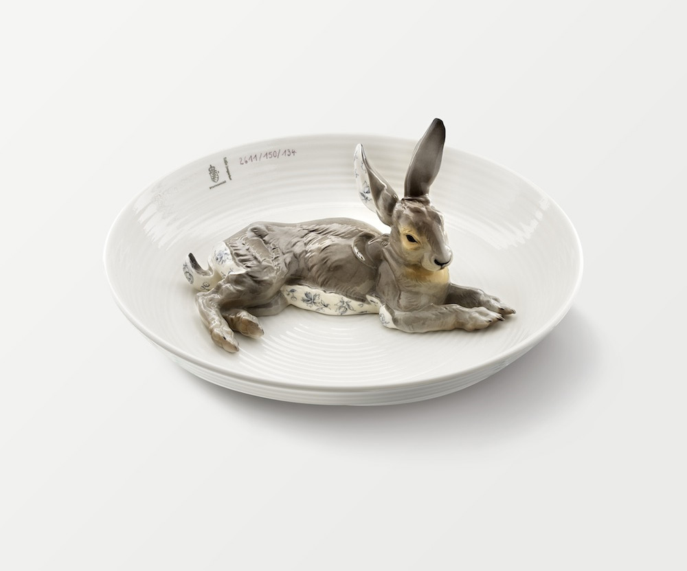 rabbit-new
