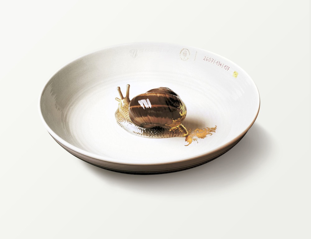 snail-new