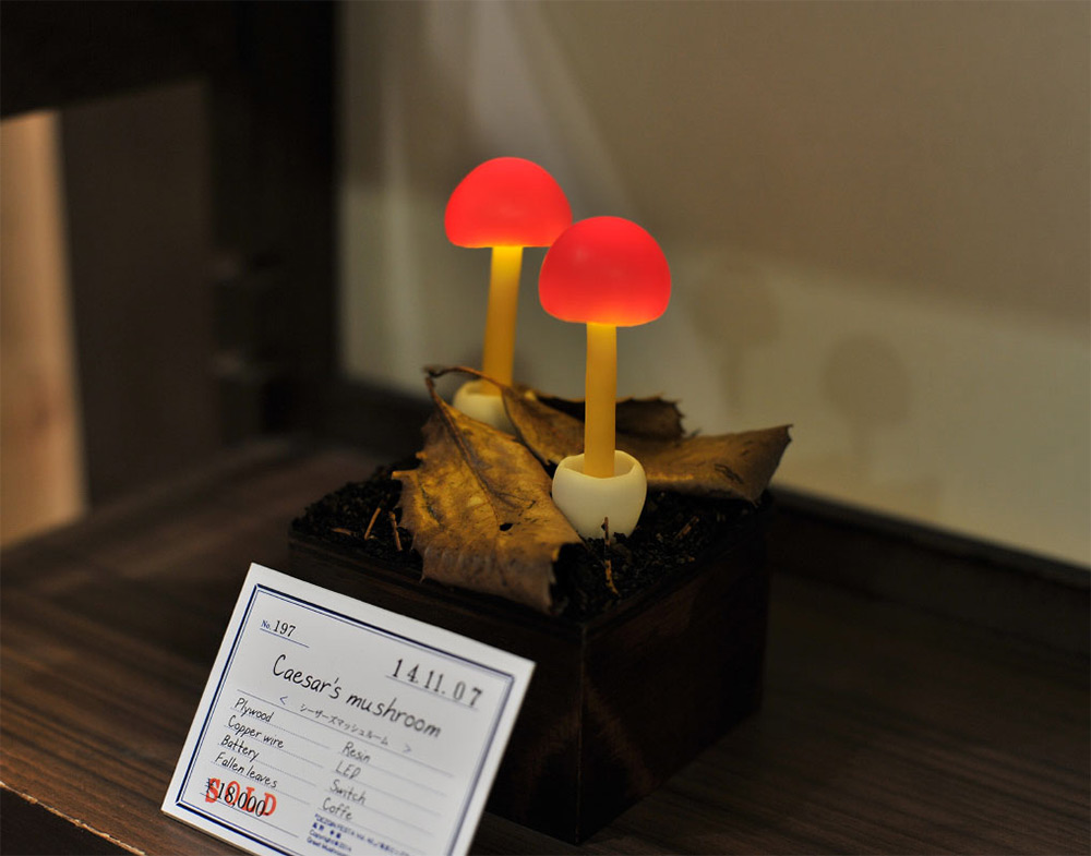 mushroom-6