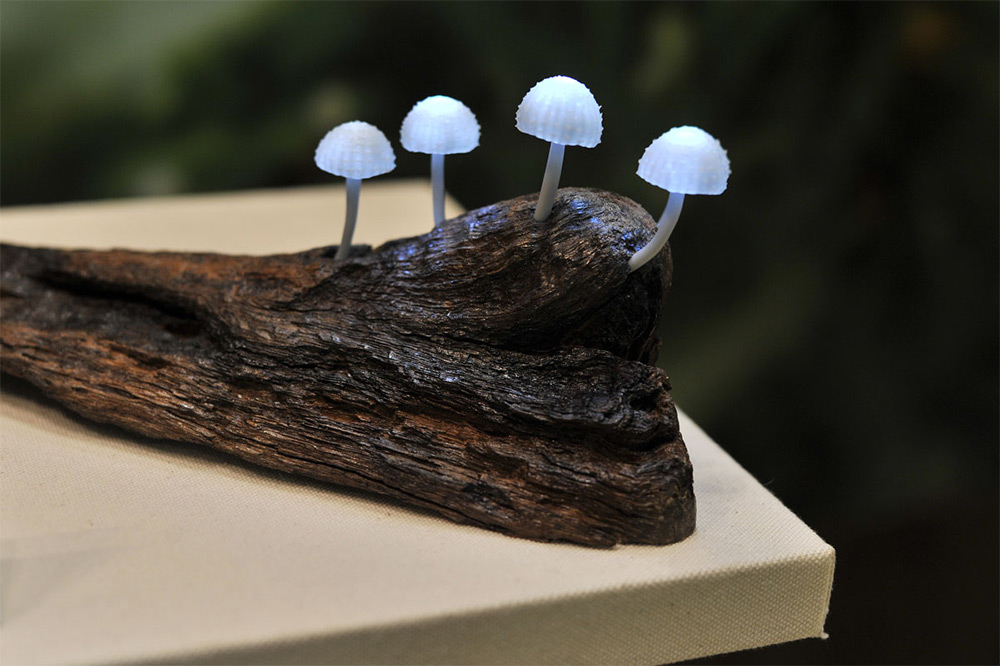mushroom-9