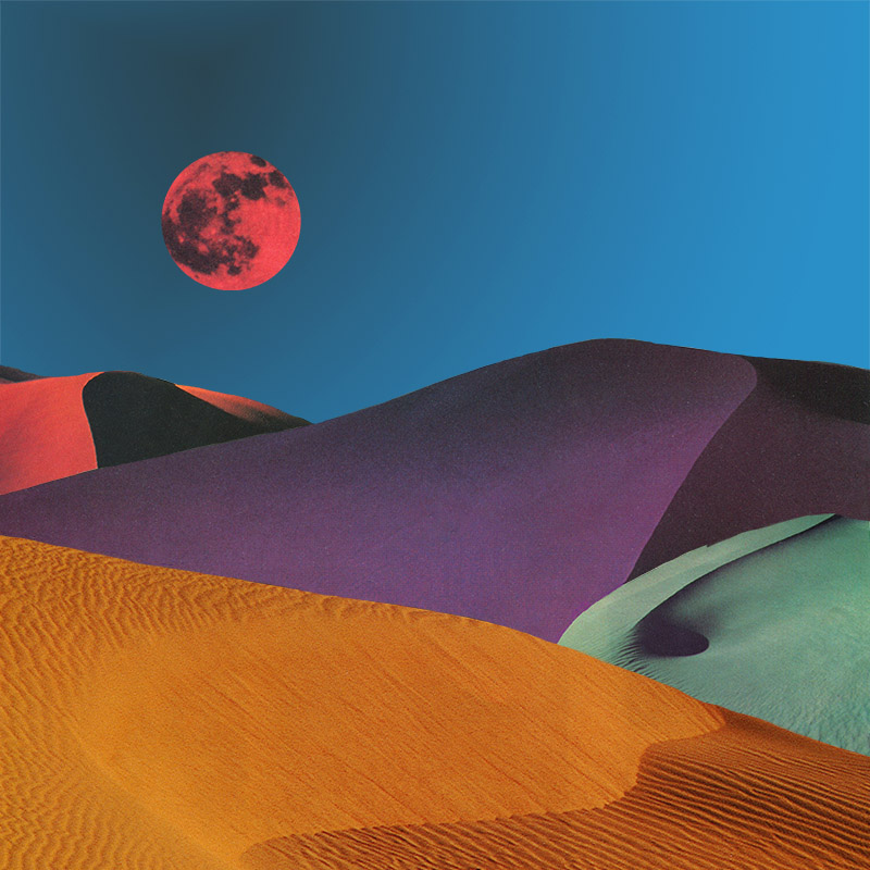 Desert+Dream+web+tumblr