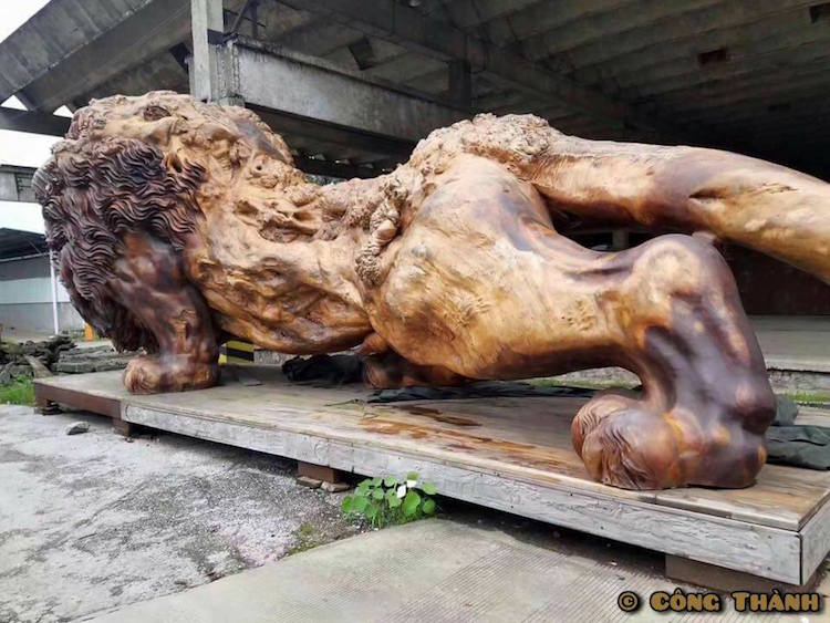 giant-lion-redwood-sculpture-5