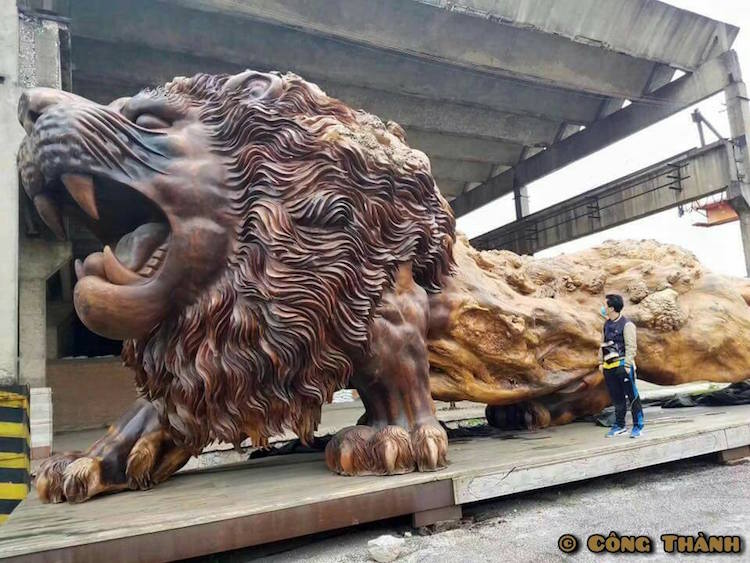 giant-lion-redwood-sculpture-6