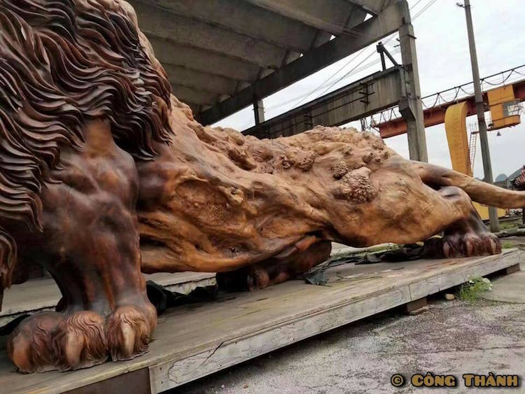 giant-lion-redwood-sculpture-7