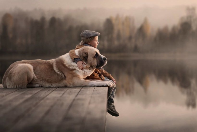 Fotografías de la bella conexión entre humanos y perros
